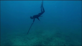 Rescue HI-Surf - Season 01 Episode 18